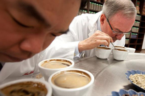cata-de-cafe - Cursos de Barismo y Cafeterías