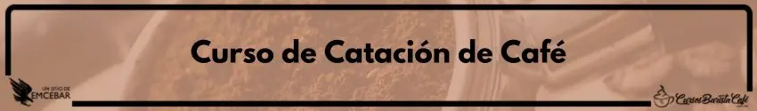 Curso de Catación de Café
