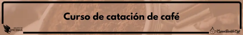 Curso de catación de café
