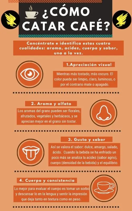 ¿Cómo catar café? 