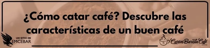 ¿Cómo catar café? Descubre las características de un buen café
