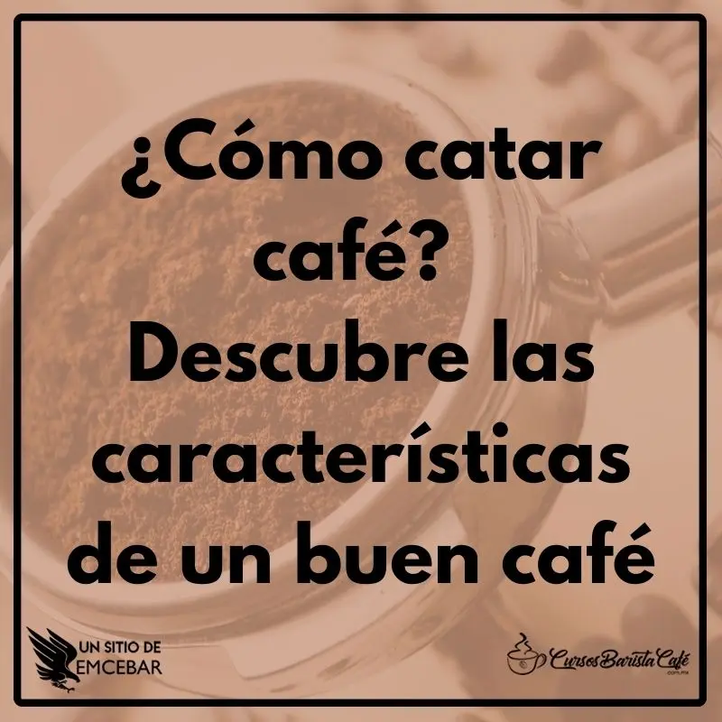 ¿Cómo catar café? Descubre las características de un buen café