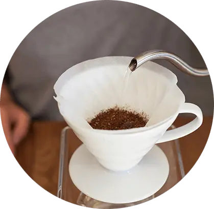Hario V60 Dripper