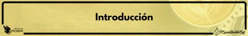 Introducción