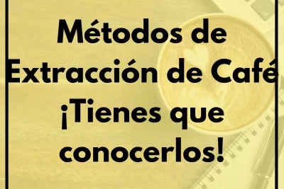 Métodos de Extracción de Café Tienes que conocerlos 1 - Cursos de Barismo y Cafeterías Métodos de Extracción de Café ¡Tienes que conocerlos!