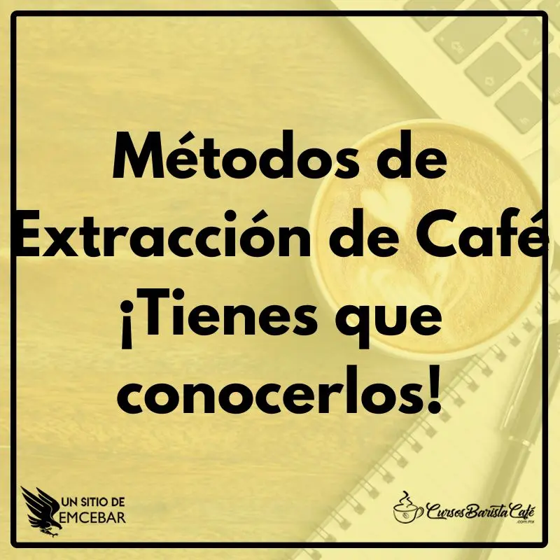 Métodos de Extracción de Café ¡Tienes que conocerlos!