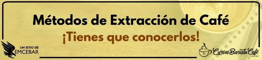 Métodos de Extracción de Café ¡Tienes que conocerlos!
