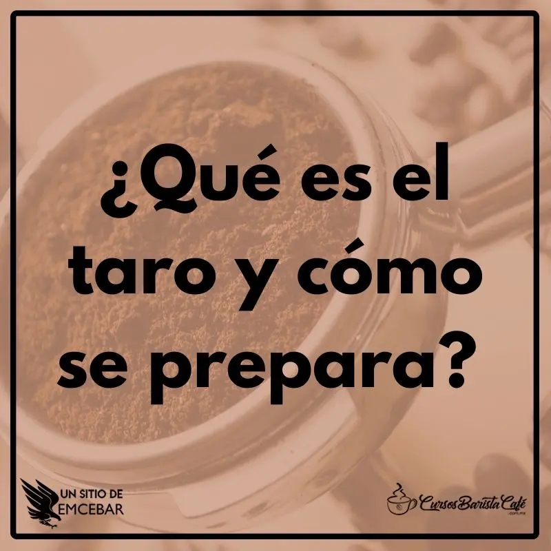 ¿Qué es el taro y cómo se prepara? ¡Conoce esta gran bebida!
