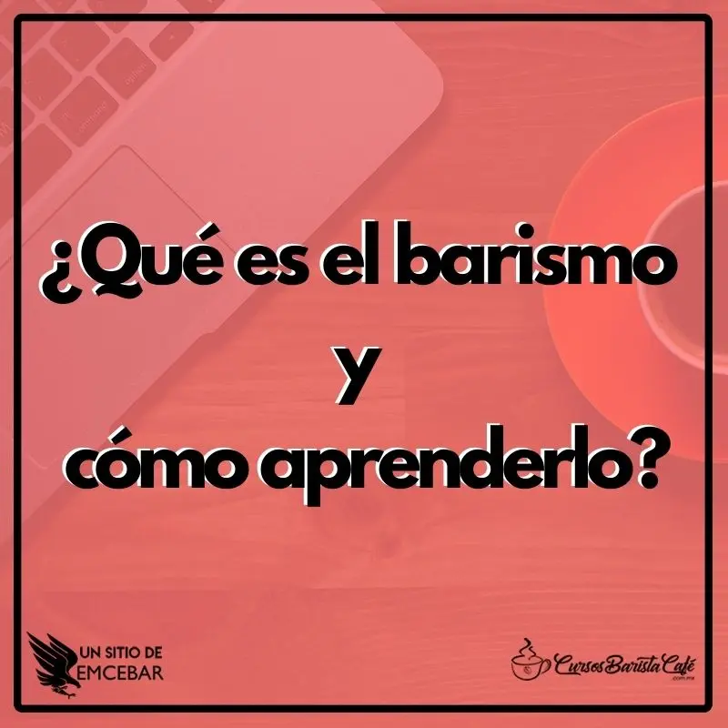 qué es el barismo y cómo aprenderlo