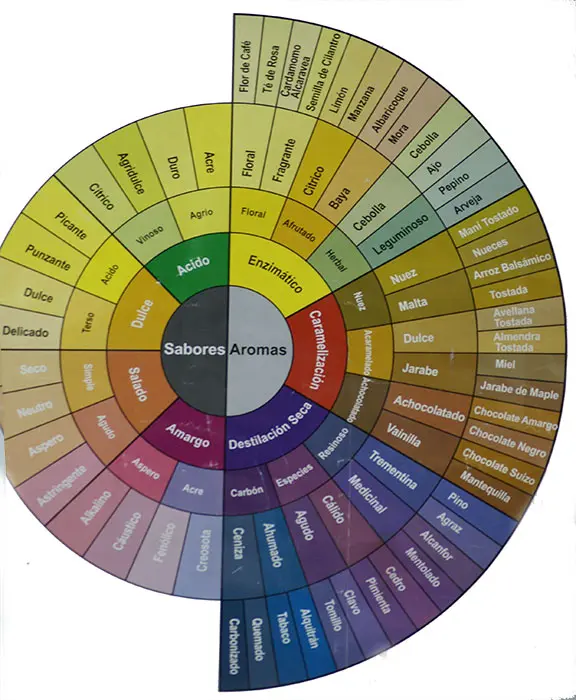 rueda de sabores y aromas