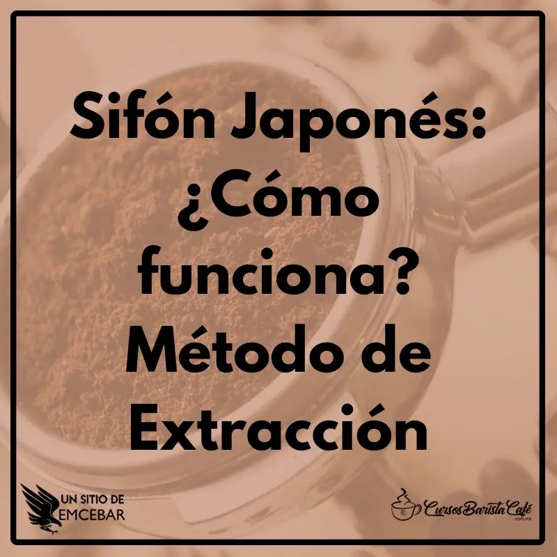 Sifón Japonés ¿Cómo funciona Método de Extracción