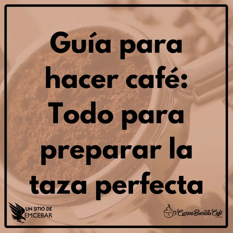 Guía para hacer café: Todo para preparar la taza perfecta